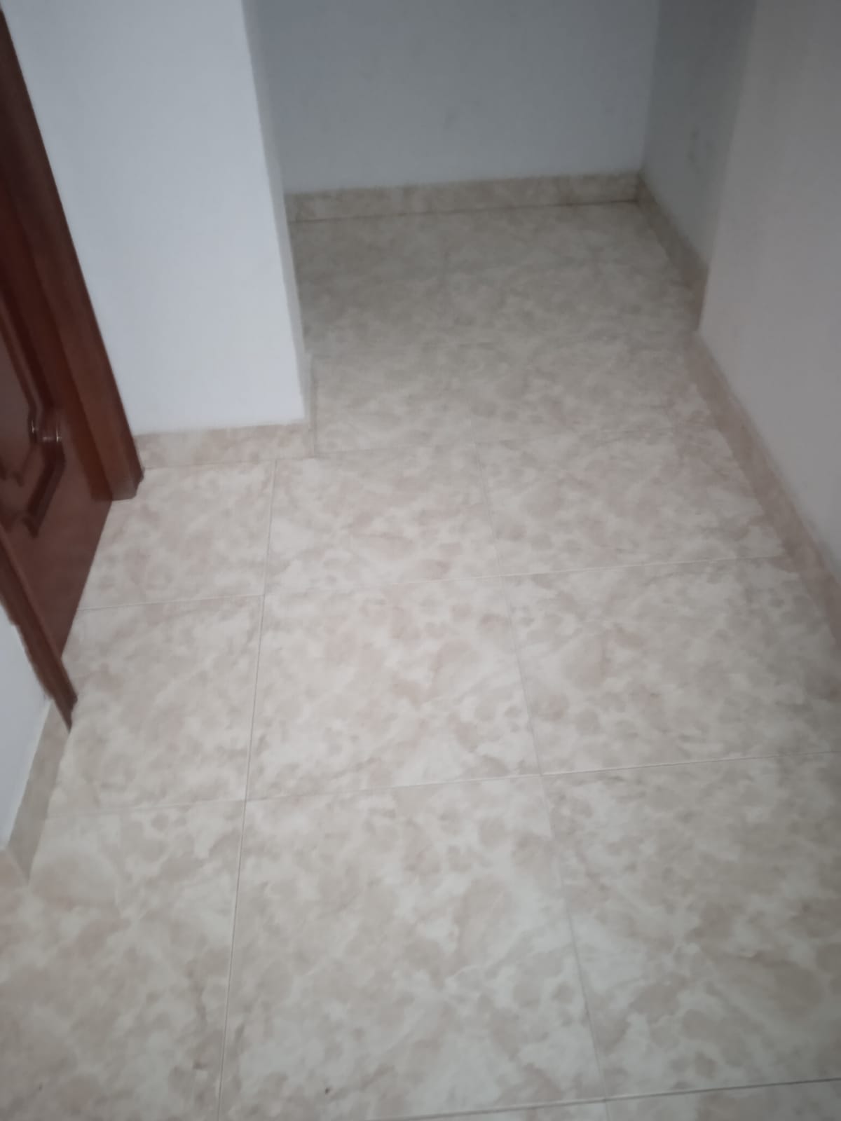 Cambio de plaquetas en suelo interior (3)